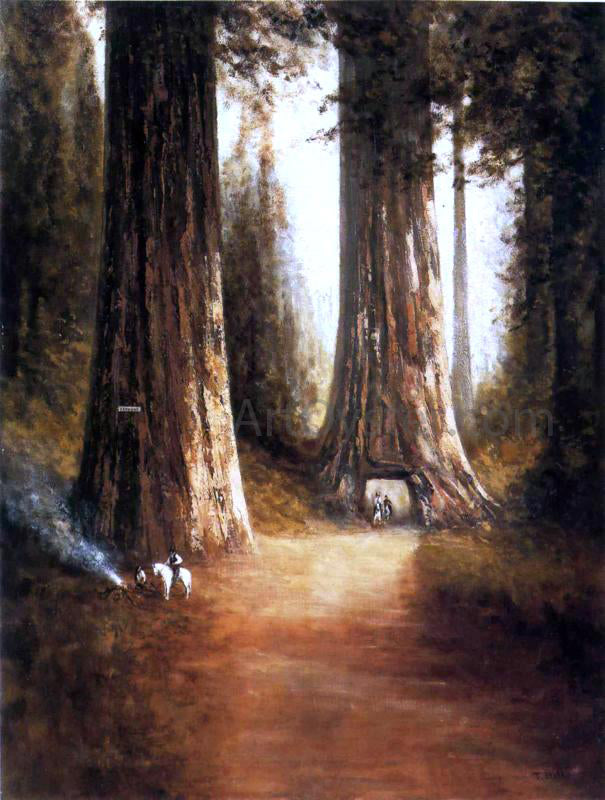  Thomas Hill Sequoia Gigantea - Hand Painted Oil Painting