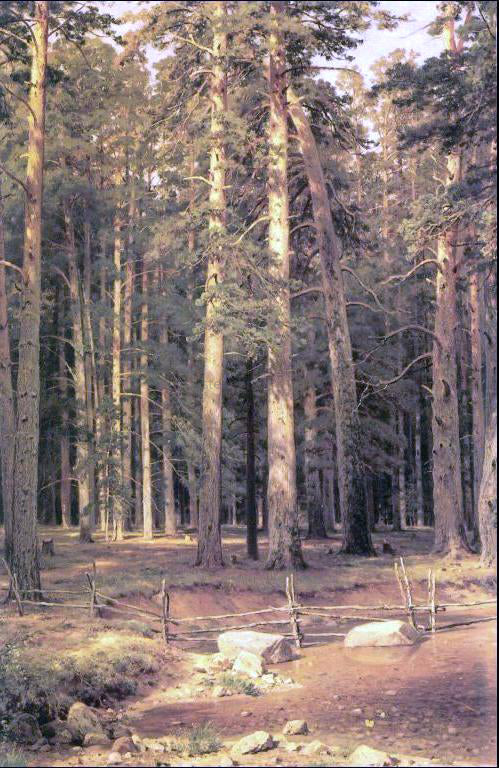 Ivan Ivanovich Shishkin Ship Timber Grove - Hand Painted Oil Painting
