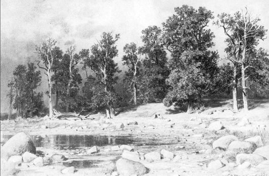  Ivan Ivanovich Shishkin Shore of Oak Grove of Peter the Great in Sestroretsk - Hand Painted Oil Painting