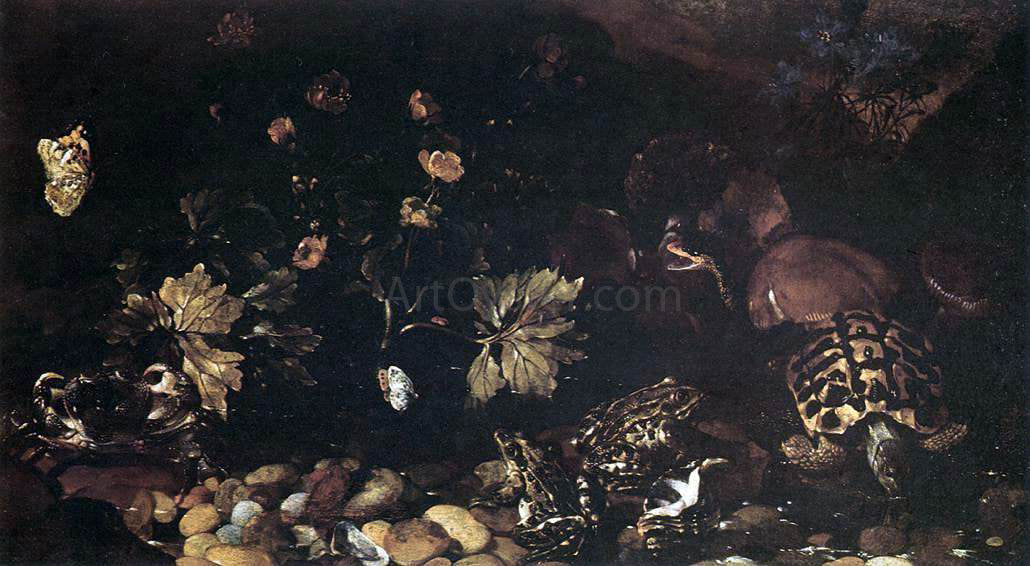  Paolo Porpora Still-Life with a Snake, Frogs, Tortoise and a Lizard - Hand Painted Oil Painting