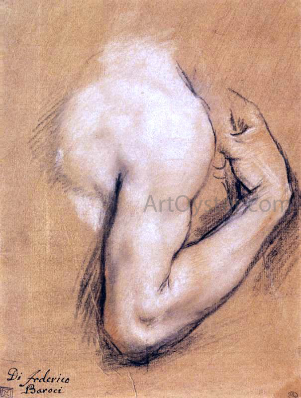  Federico Fiori Barocci Study of a Bent Right Arm - Hand Painted Oil Painting