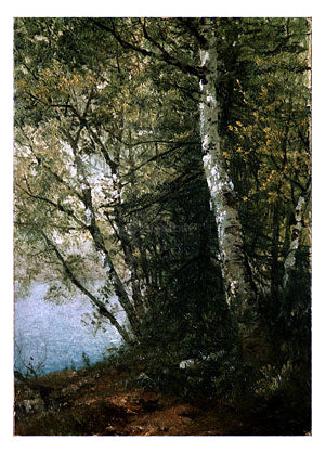  John Frederick Kensett Study of Beeches - Hand Painted Oil Painting