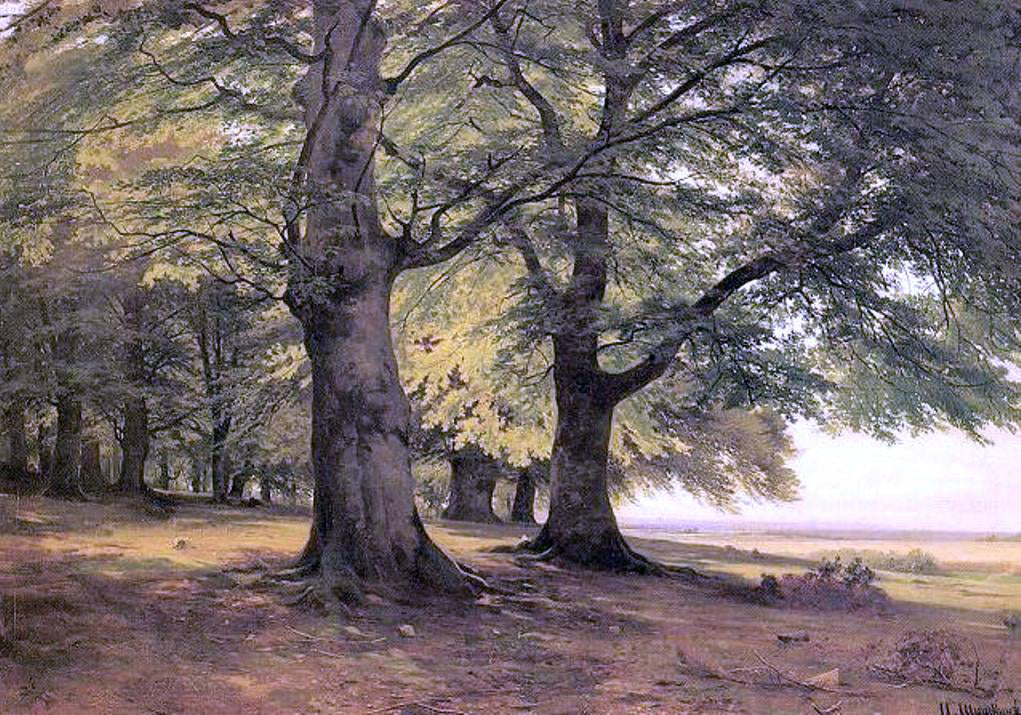  Ivan Ivanovich Shishkin Tevtoburgsky forest - Hand Painted Oil Painting