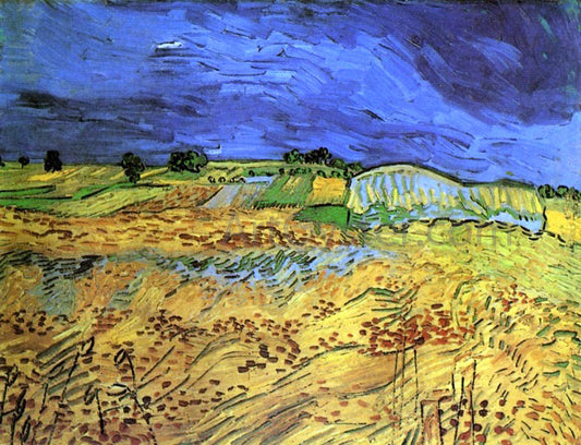  Vincent Van Gogh The Fields - Hand Painted Oil Painting