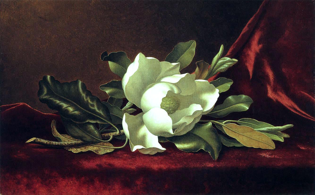  Martin Johnson Heade The Magnolia Blossom - Hand Painted Oil Painting