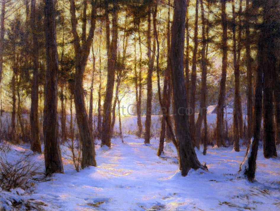  Walter Launt Palmer The Pine Coppice - Hand Painted Oil Painting