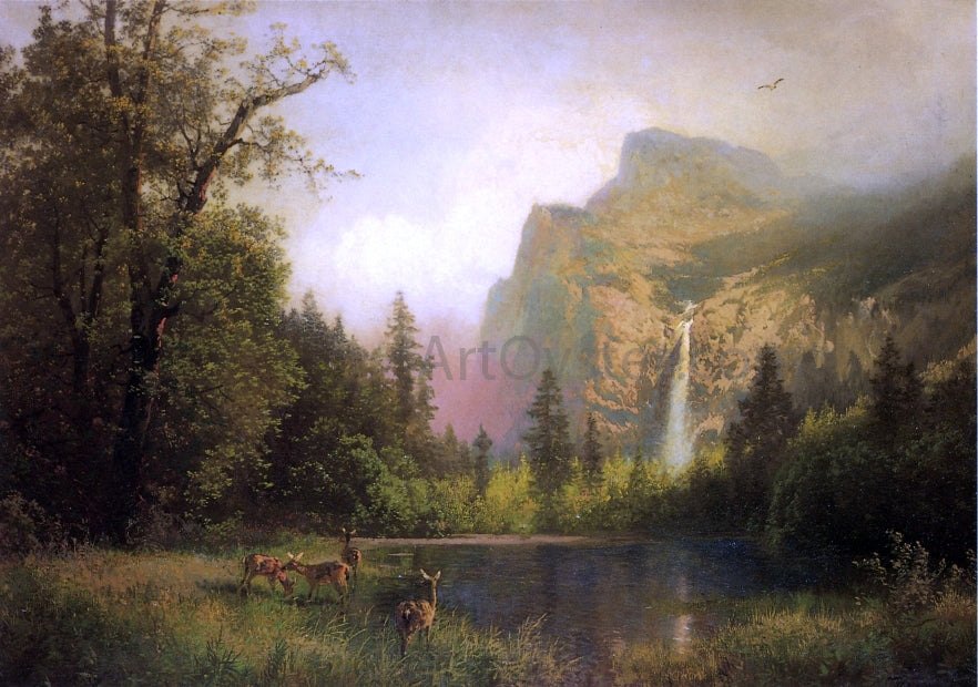  Herman Herzog The Waterfall - Hand Painted Oil Painting