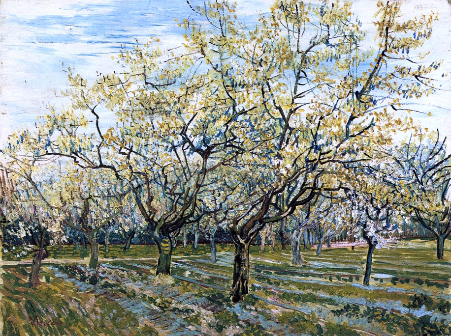  Vincent Van Gogh The White Orchard - Hand Painted Oil Painting