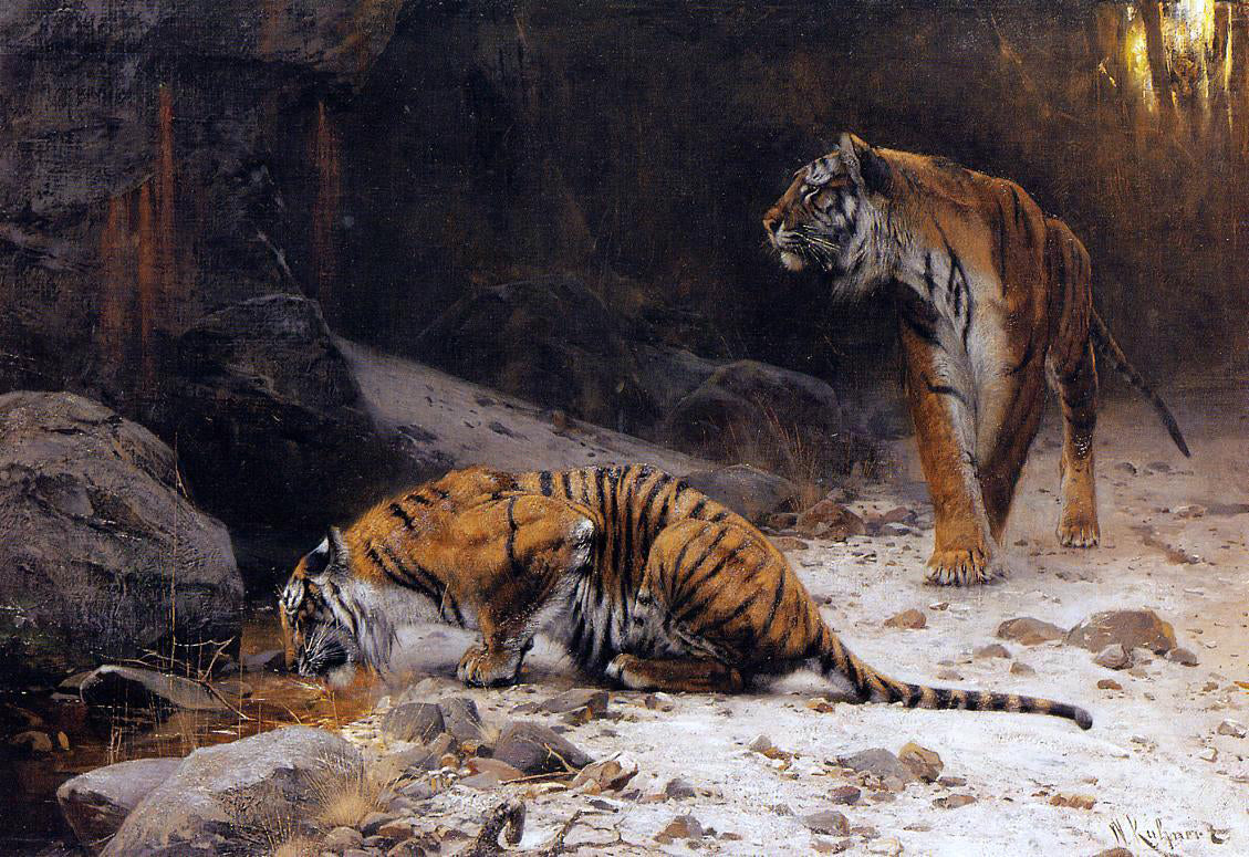  Wilhelm Kuhnert Tigers at a Drinking Pool - Hand Painted Oil Painting