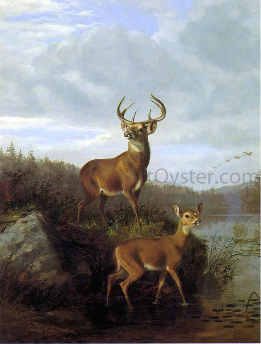  Hyppolite Sebron Deer - Hand Painted Oil Painting