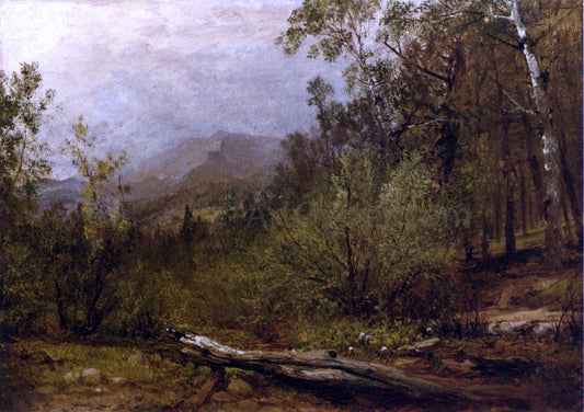  John Frederick Kensett Trotter's Spring, Colorado - Hand Painted Oil Painting