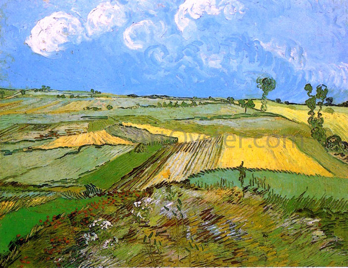  Vincent Van Gogh Wheat Fields at Auvers under a Cloudy Sky - Hand Painted Oil Painting