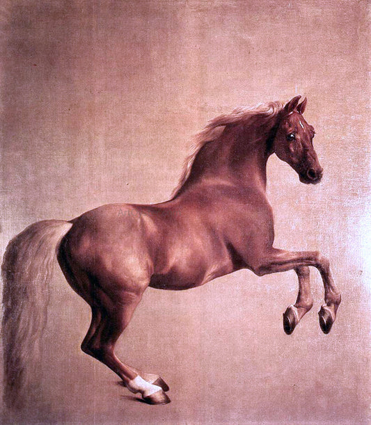  George Stubbs Whistlejacket - Hand Painted Oil Painting