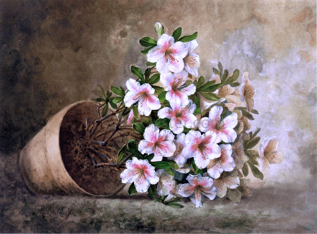  Raoul Paul Maucherat De Longpre White Azaleas in a Flower Pot - Hand Painted Oil Painting