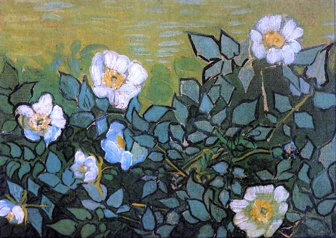  Vincent Van Gogh Wild Roses - Hand Painted Oil Painting