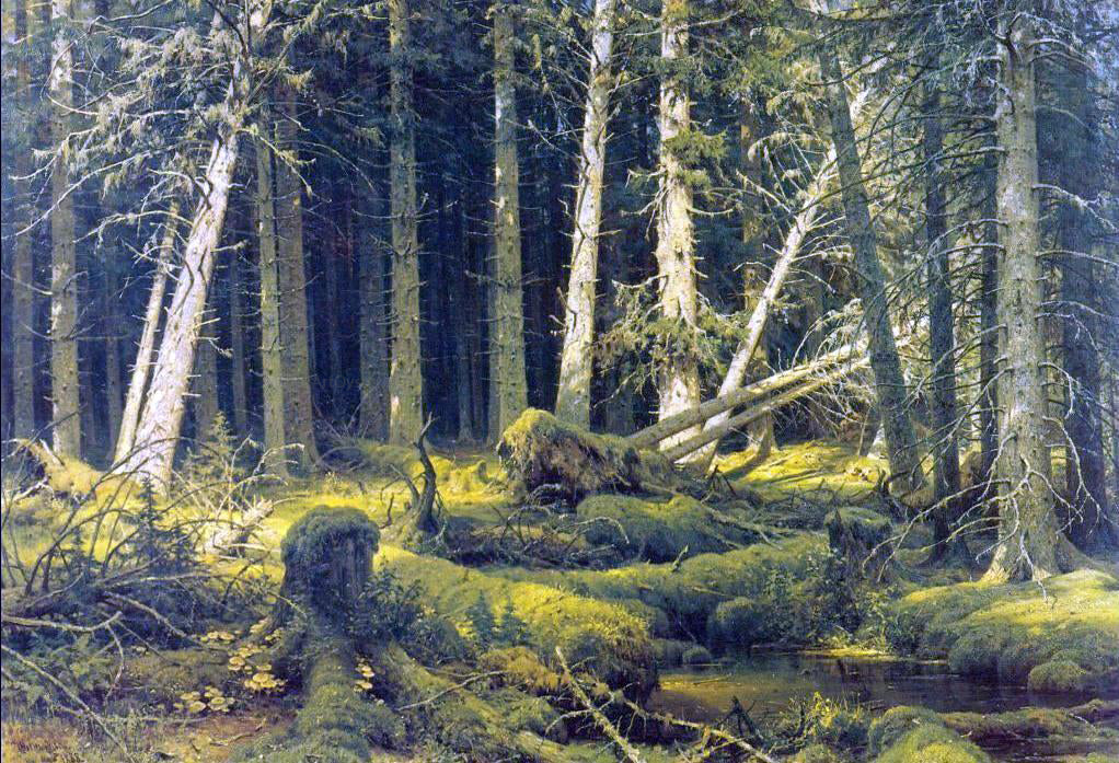  Ivan Ivanovich Shishkin Windfall - Hand Painted Oil Painting