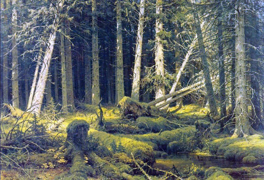  Ivan Ivanovich Shishkin Windfall - Hand Painted Oil Painting